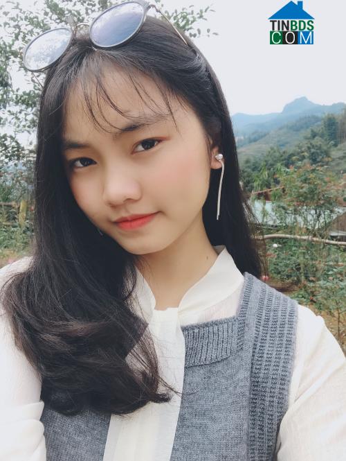 Vũ Thảo