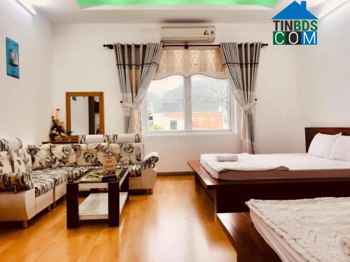 Trang Anh Chuyên Thổ Cư