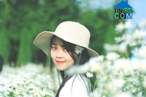 Nguyễn Thanh Tùng