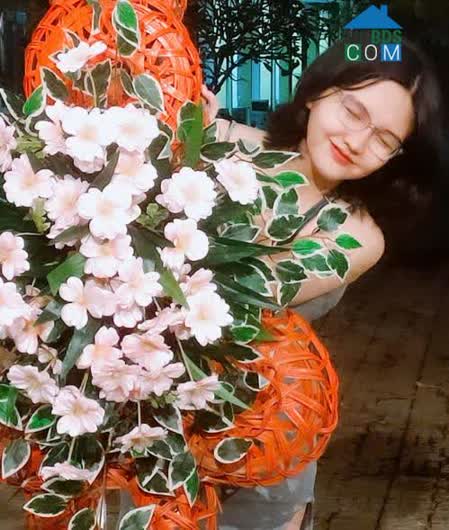 Nguyễn Thị Hồng Nghi