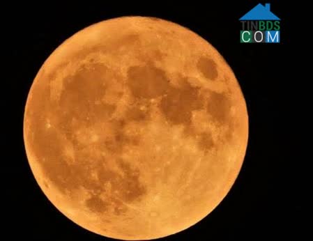 Nguyễn Thị Hồng Nhung