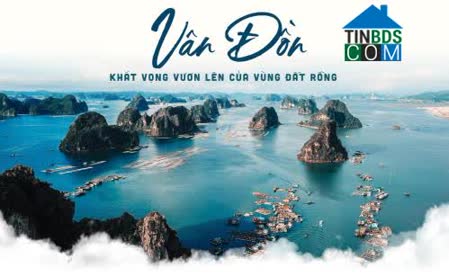 Trần Việt Huy