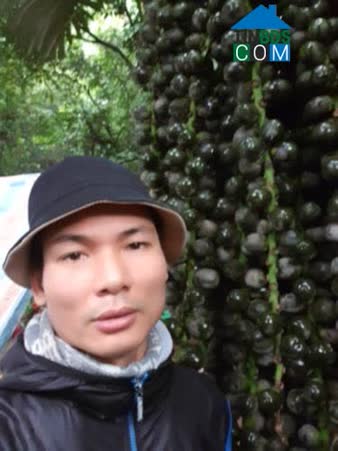 Le Hong Son
