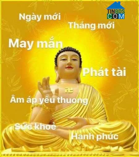 Le Hong Son