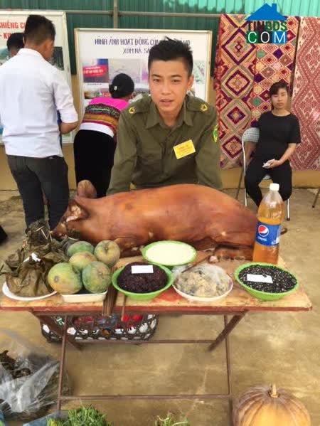 Hoa Tư