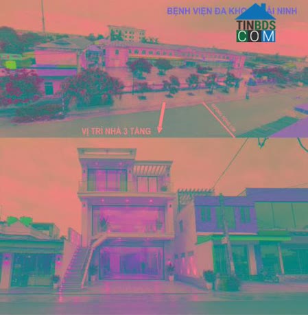 Trương Văn Vỹ