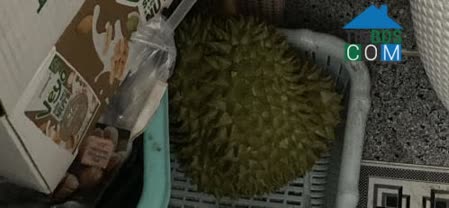 Ngân