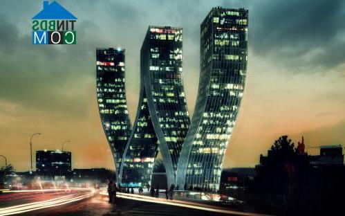 Nguyễn Hoàng Tuấn Anh